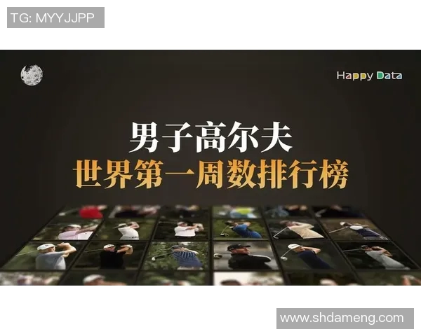 体育明星个人价值评估及其在全球体育界的影响力分析