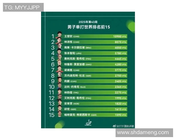 全球最受欢迎的体育明星排行榜揭晓谁将登顶名气之巅