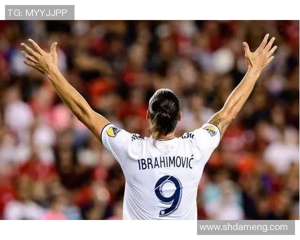 像足球明星的狗一样灵动活泼展现出无与伦比的魅力与风采