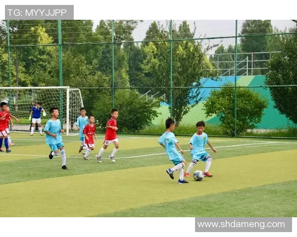 右脚为主的足球明星们如何在绿茵场上展现独特魅力与技术优势