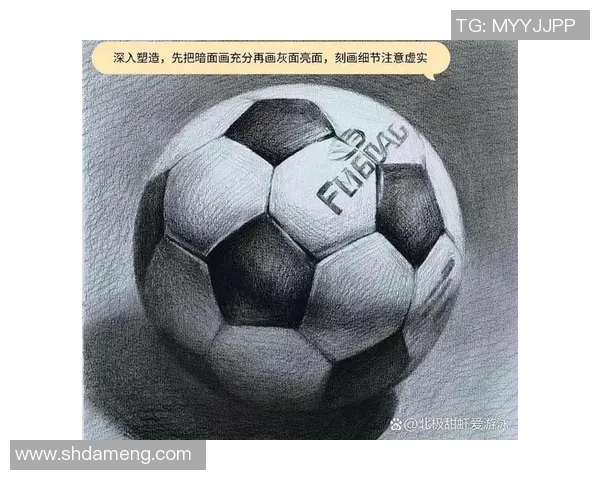 美国足球明星的风采与成就全景素描探秘