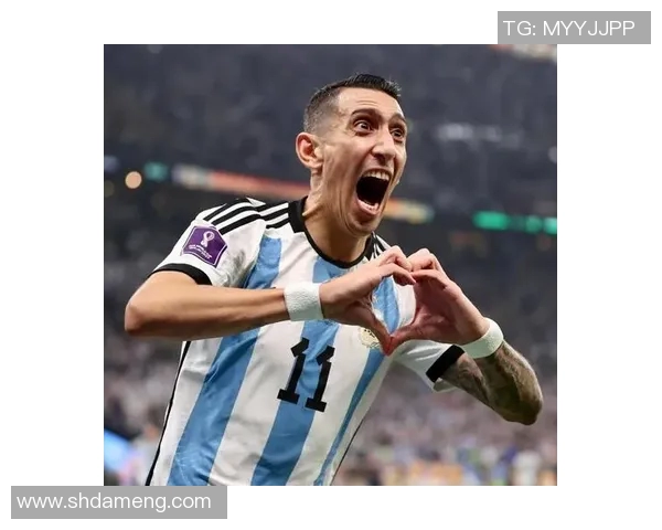 贝氏足球明星全名汇总及其成就解析让你了解足球界的璀璨星辰