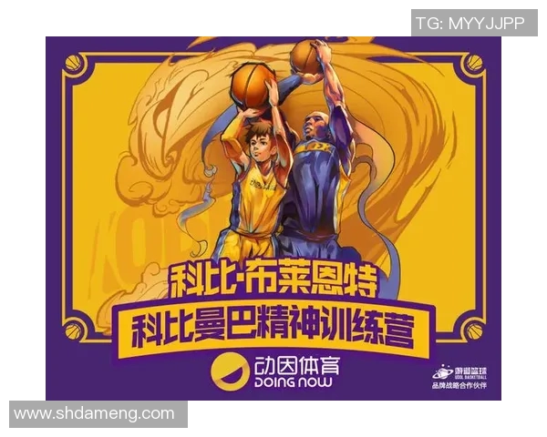 篮球职业明星的辉煌历程与背后故事揭秘，探寻他们成功的秘诀与奋斗精神