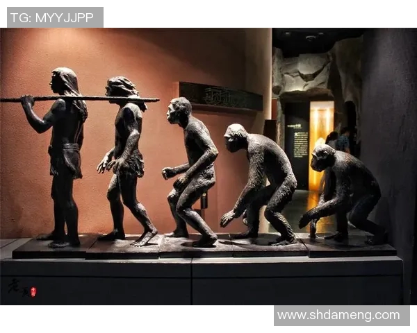 重庆篮球队主教练的历史变迁与发展历程探究